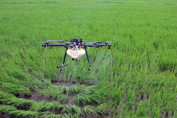 植保無人機迎增長機遇 飛手短缺問題亟需解決